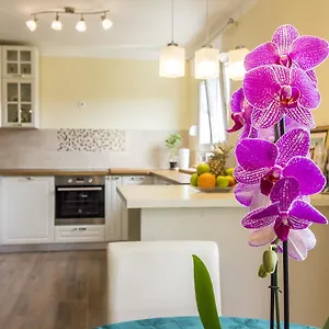 Apartment Apartman Maxim 